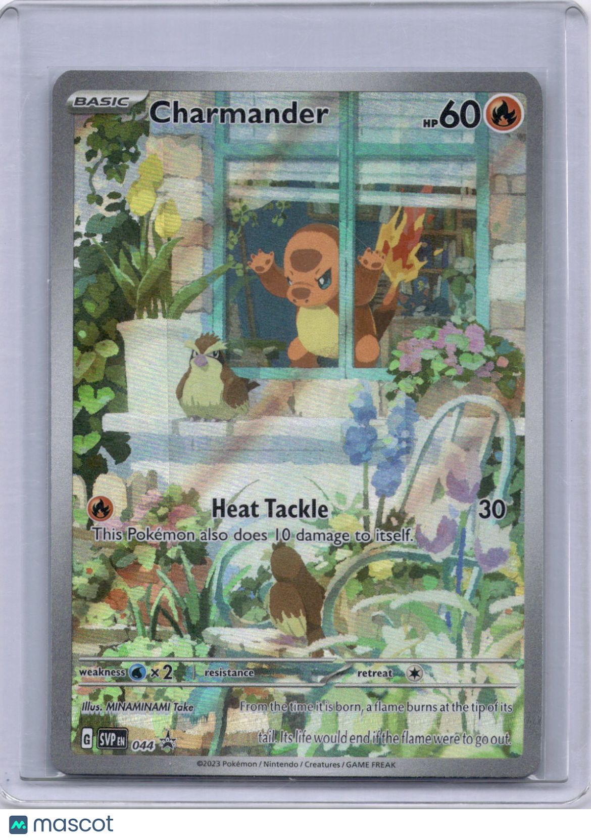 Charmander Scarlet & Violet Black Star Promo 044 Full Art Pokemon