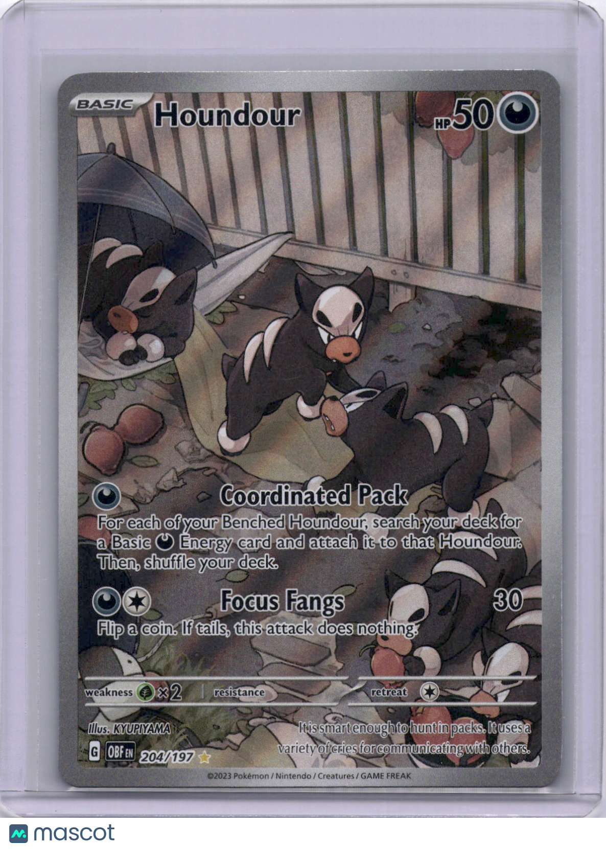 Houndour 2023 Pokemon Obsidian Flames 204/197 IR Full Art