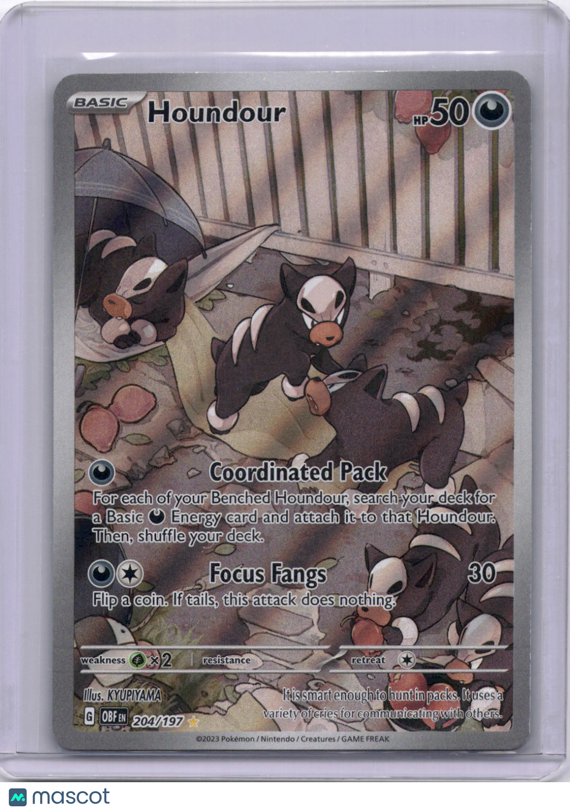 Houndour 2023 Pokemon Obsidian Flames 204/197 IR Full Art