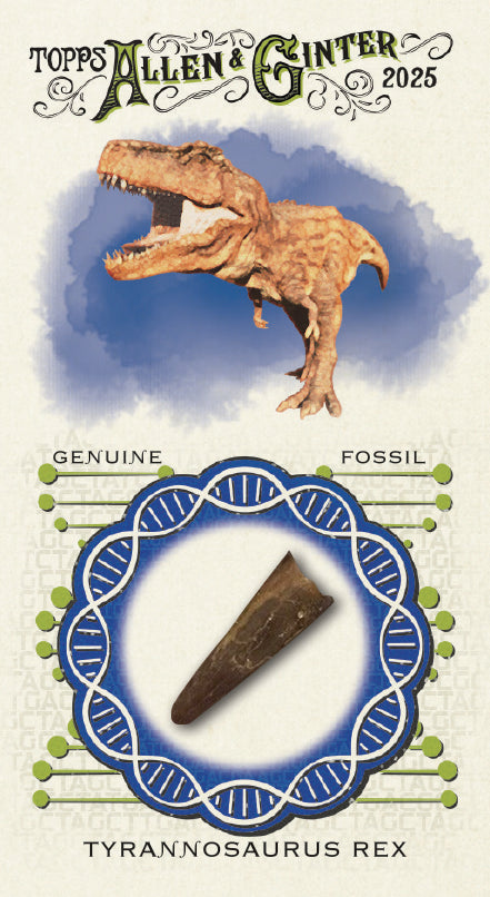 2025 Topps Allen & Ginter Baseball Hobby Box