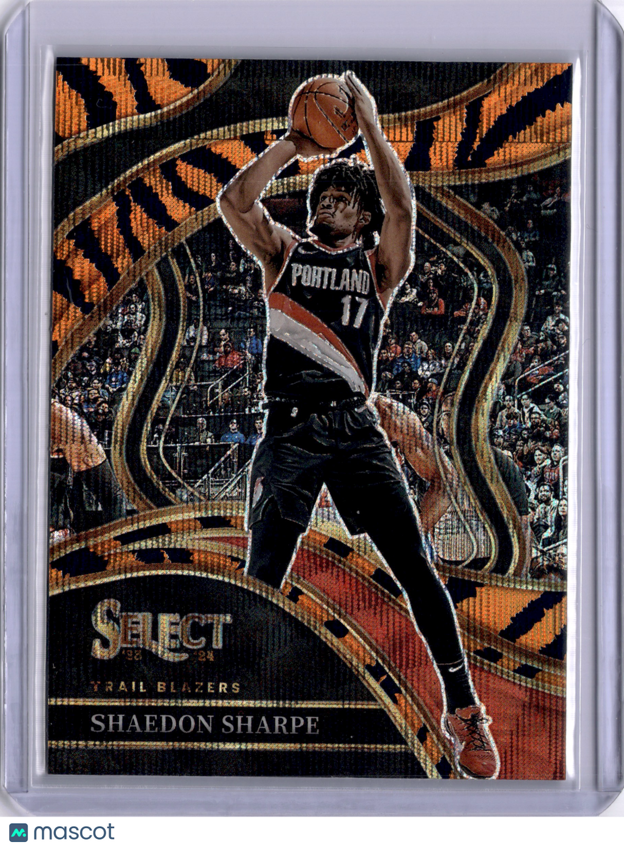 Shaedon Sharpe 2023-24 Panini Select Tiger Stripe Courtside Trail Blazers