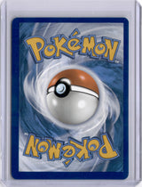 Squirtle Stellar Crown 148/142 Holo Full Art TCG