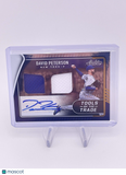 DAVID PETERSON 2022 ABSOLUTE TOOLS OF THE TRADE BLUE DUAL PATCH AUTO /199