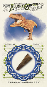 2025 Topps Allen & Ginter Baseball Hobby Box