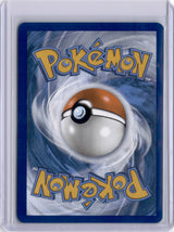 Drayton Surging Sparks 244/191 Holo Special Illustration Rare TCG
